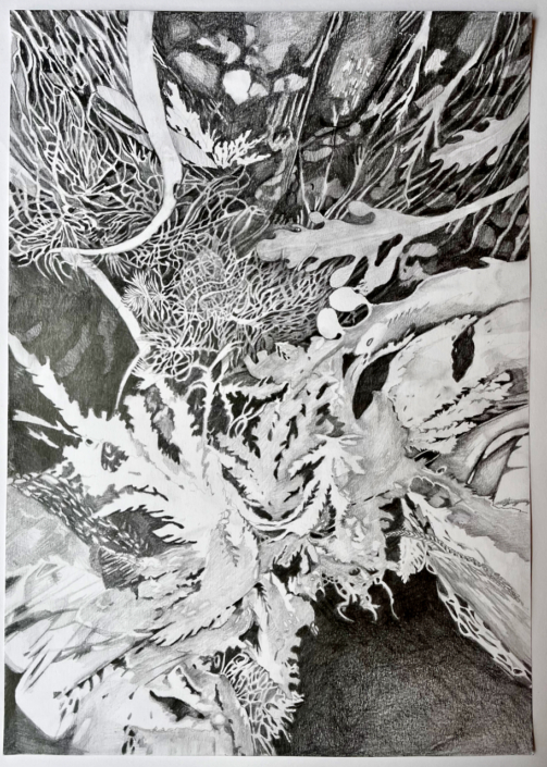 Jess Jarvie 'The Turning of the Tides'