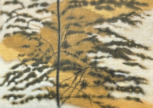 18.torii1
