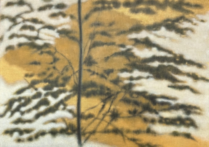 MPCAP2025 Winner: Robert Torii 'Reflections in a Stream of Consciousness'