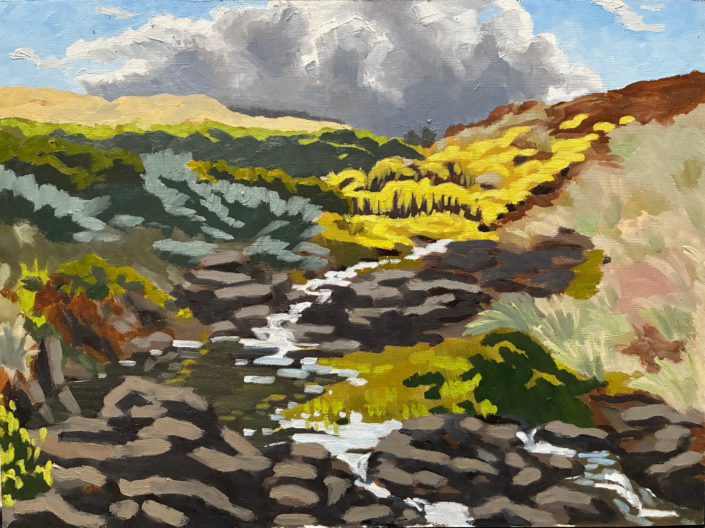 Sarah Low ‘Looking Back; Tea Tree Creek, Cairns Bay’