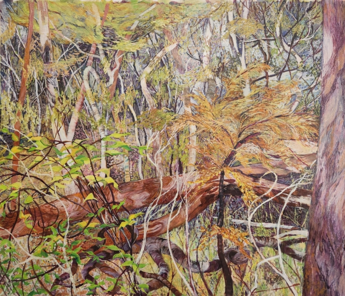 Nat Ward 'Beautiful Scrubland, Nail Can Hill'